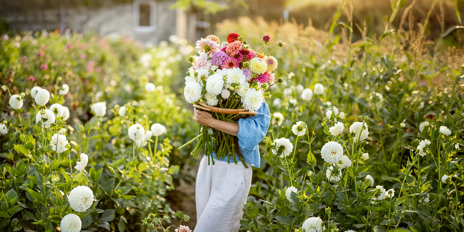 Sublimez votre jardin avec passion