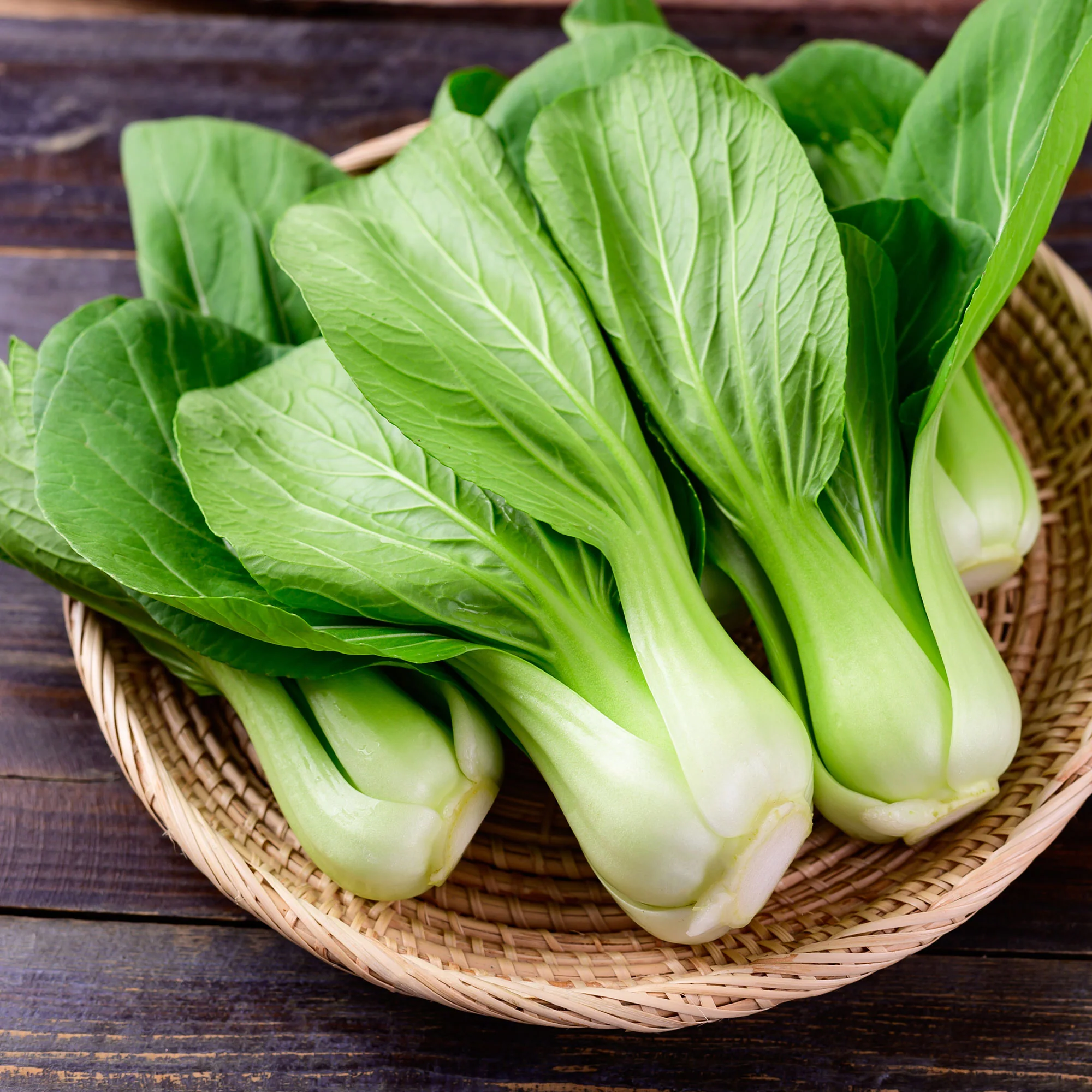 Chou de Chine Pak-choi Green Fortune F1