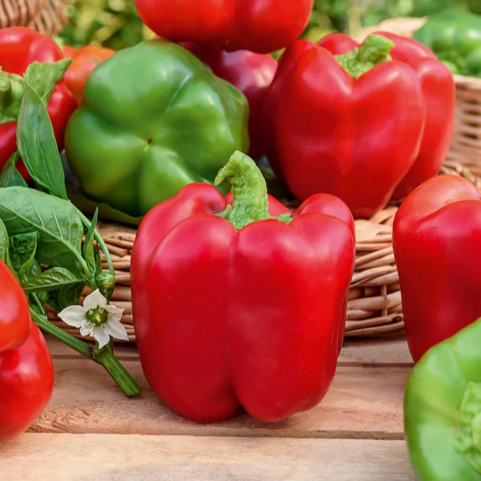 Collection de légumes du soleil - Image 3