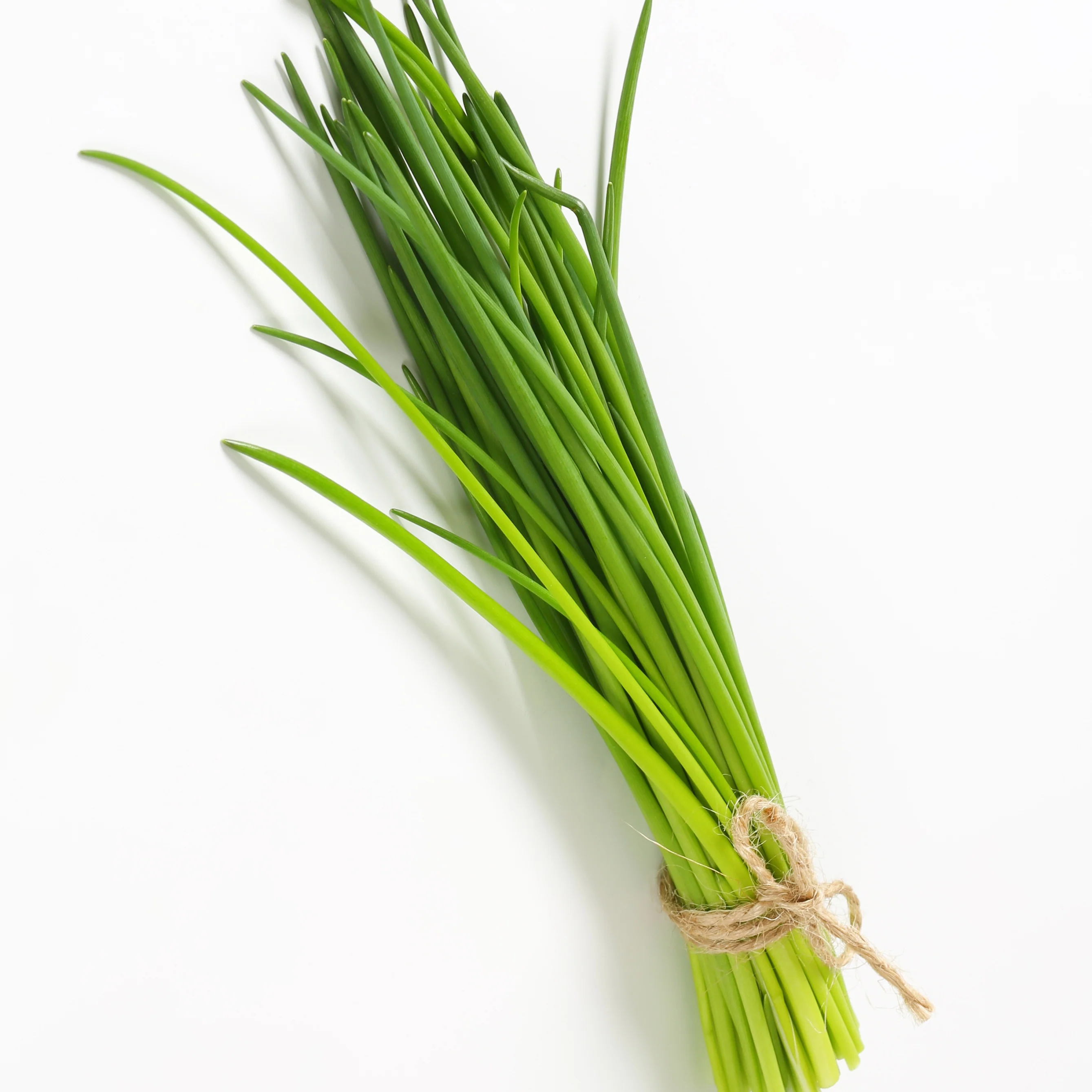 Collection de 4 Plants Aromatiques basilic, ciboulette, persil, thym - Image 4