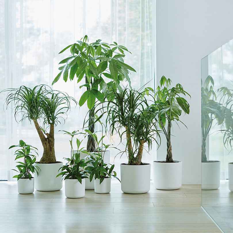 Elho Pot B.for soft rond blanc - Image 2