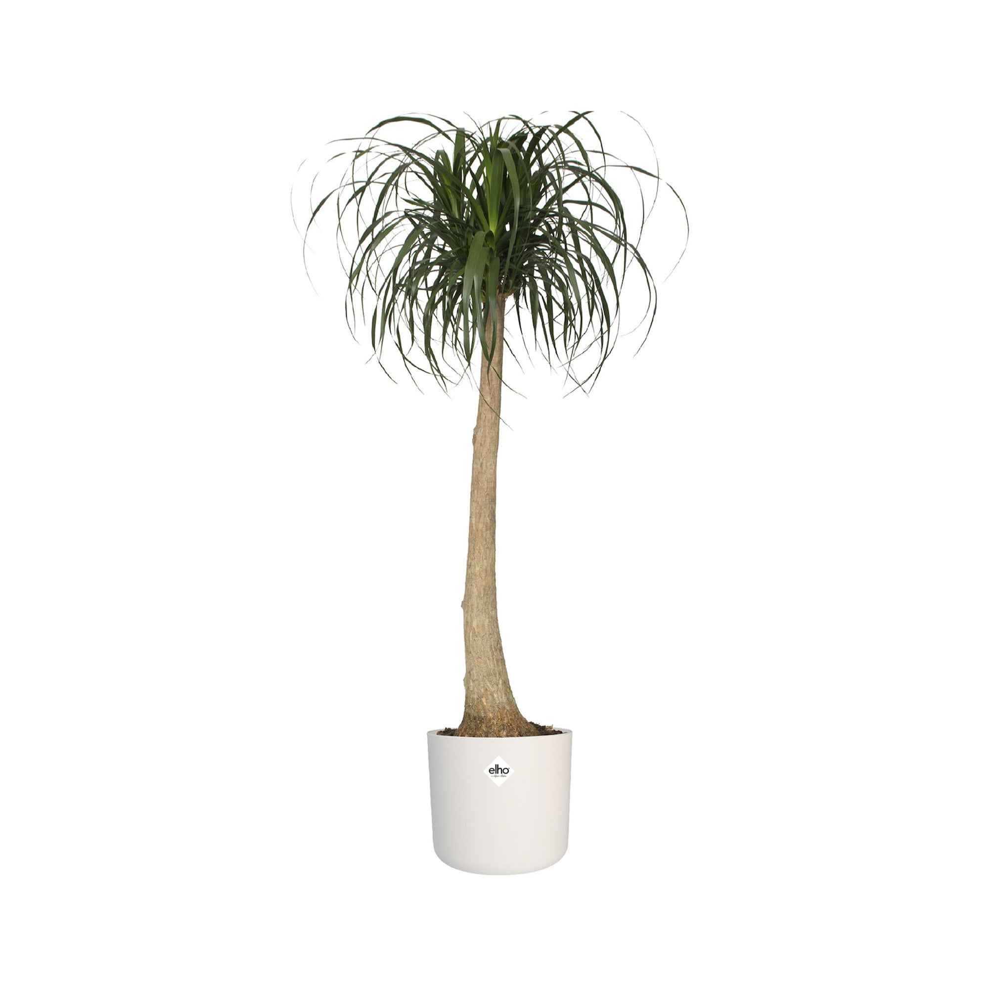 Elho Pot B.for soft rond blanc - Image 3