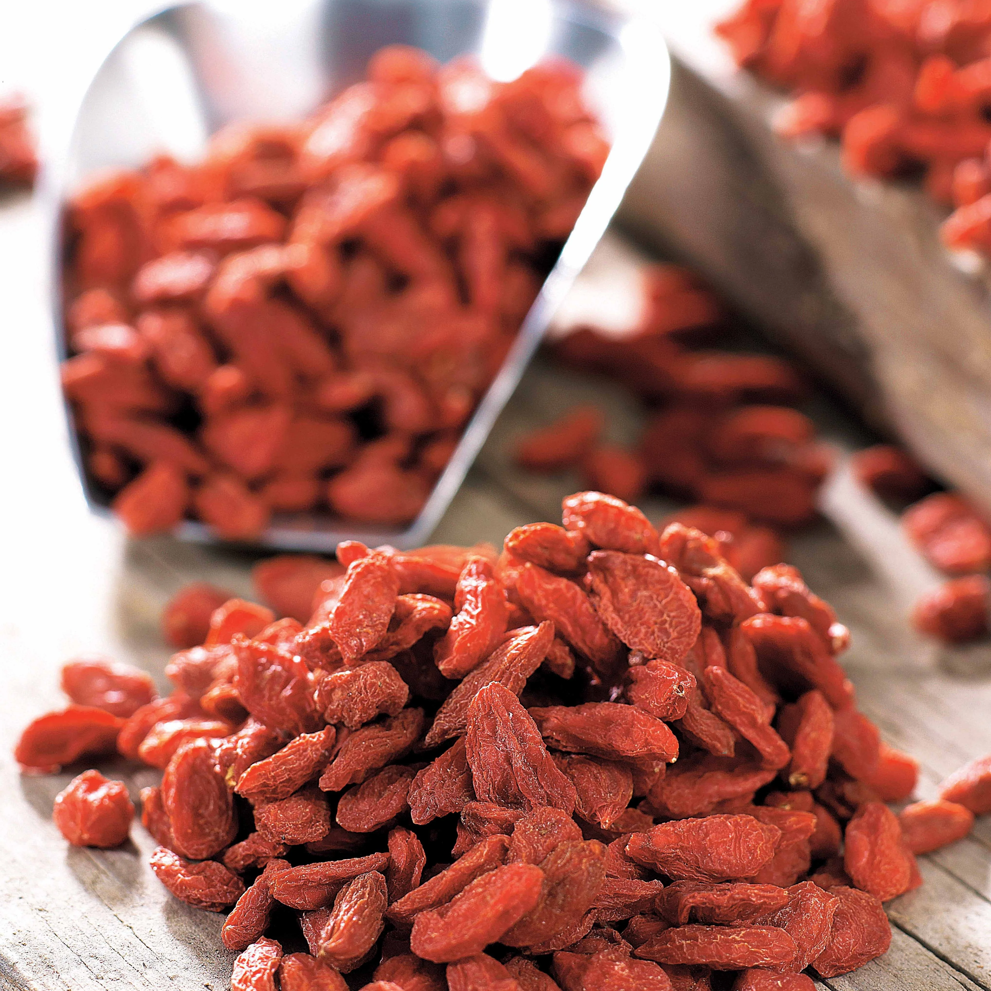 Goji - Image 6