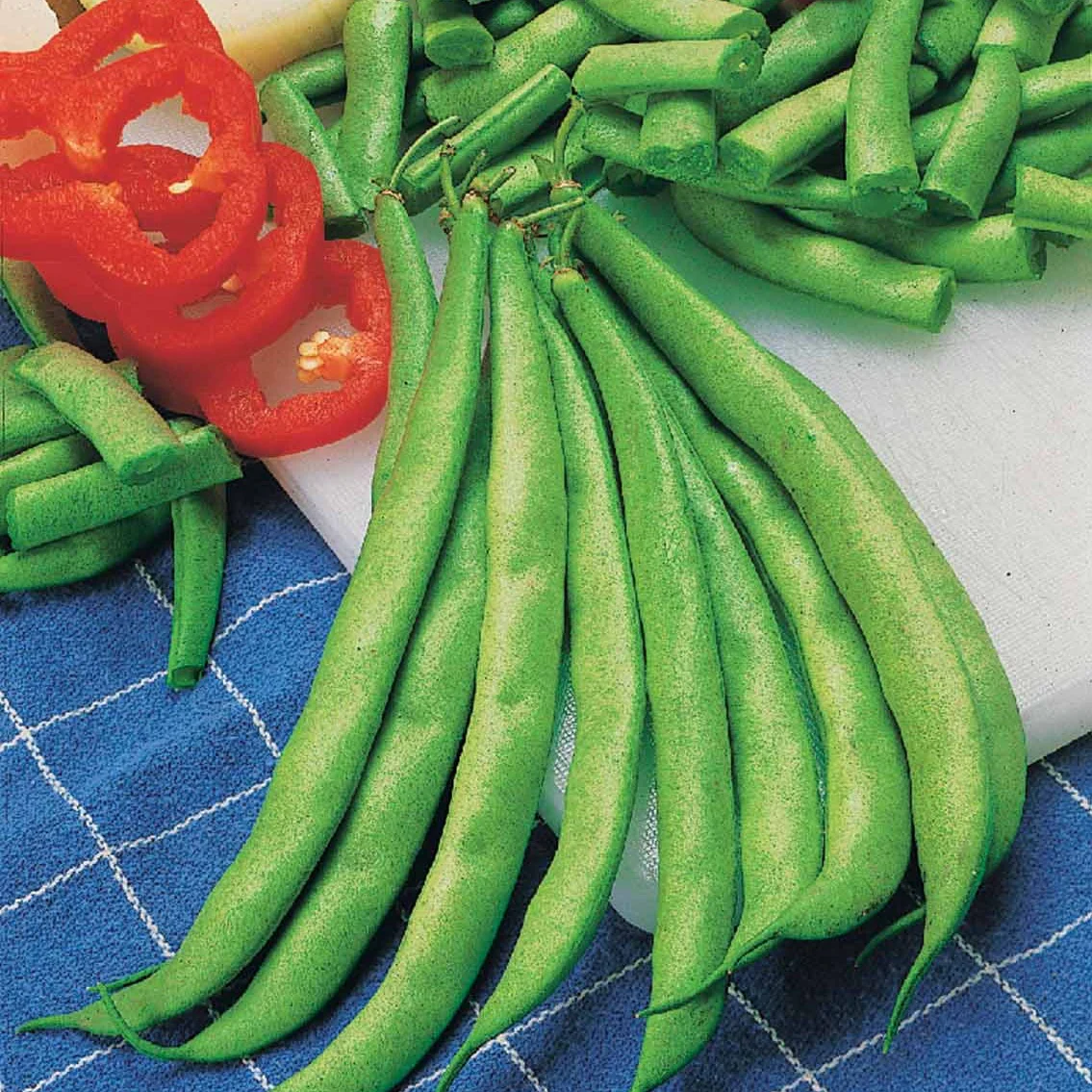 Haricot nain mangetout Contender - Image 2