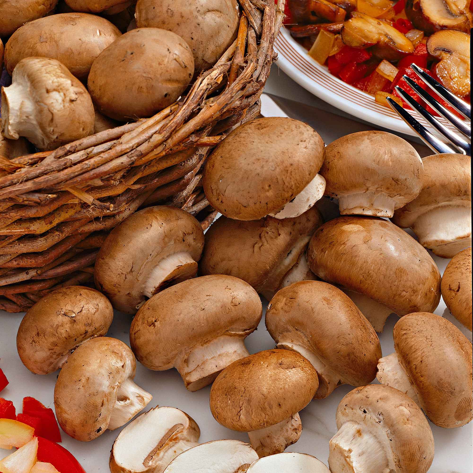 Kit de culture de champignons brun de Paris - Image 2