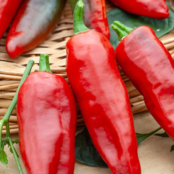 Piment d'Espelette - Gorria - Image 2