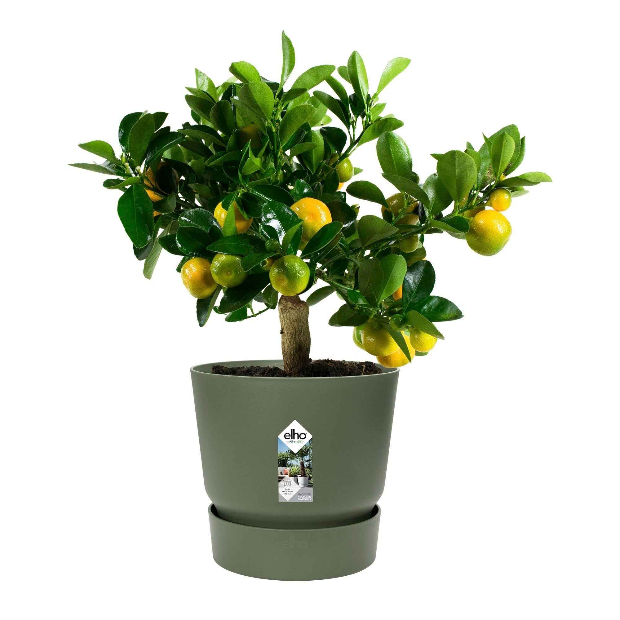 Pot de fleurs Elho Greenville vert - Image 4