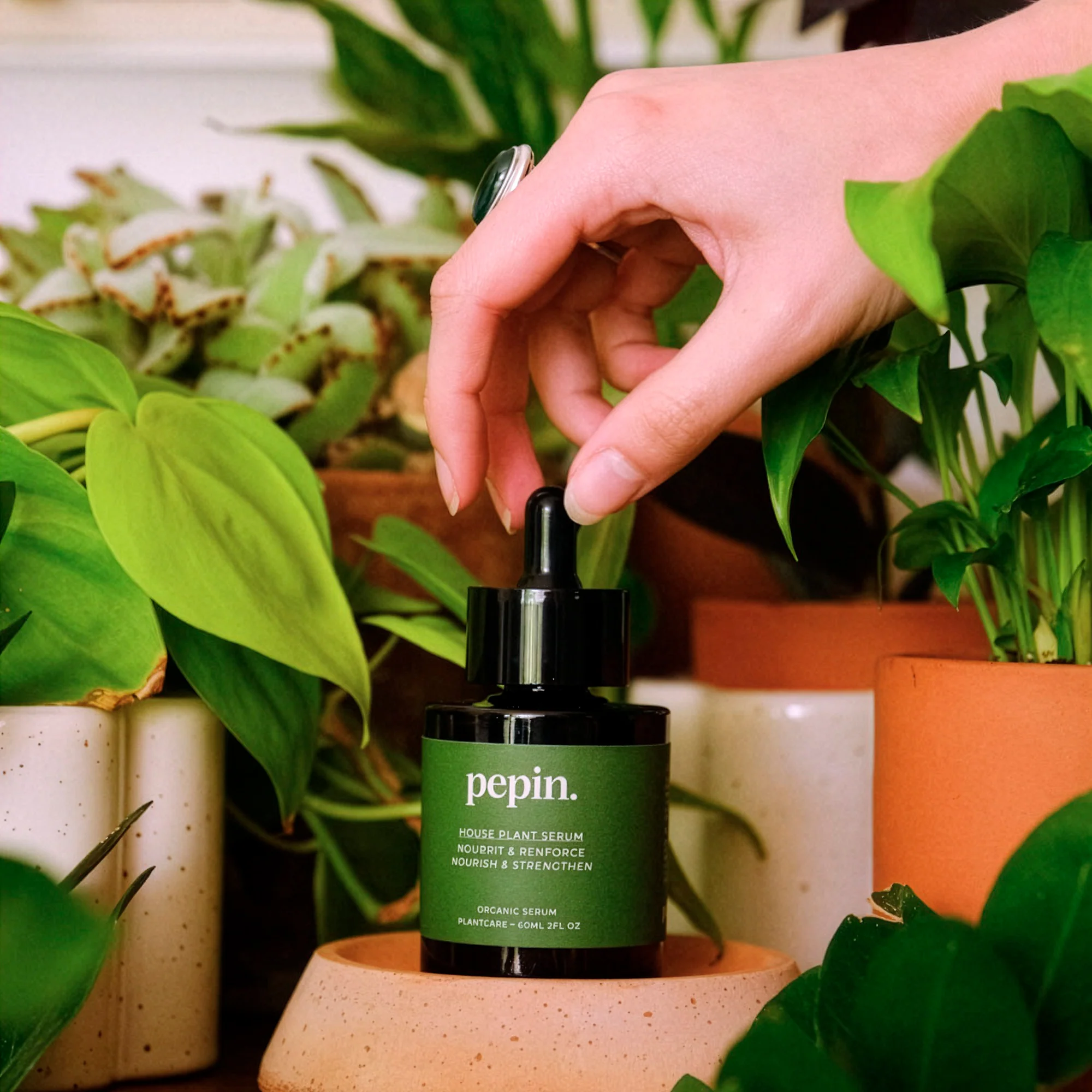 Sérum nourissant Plantes vertes