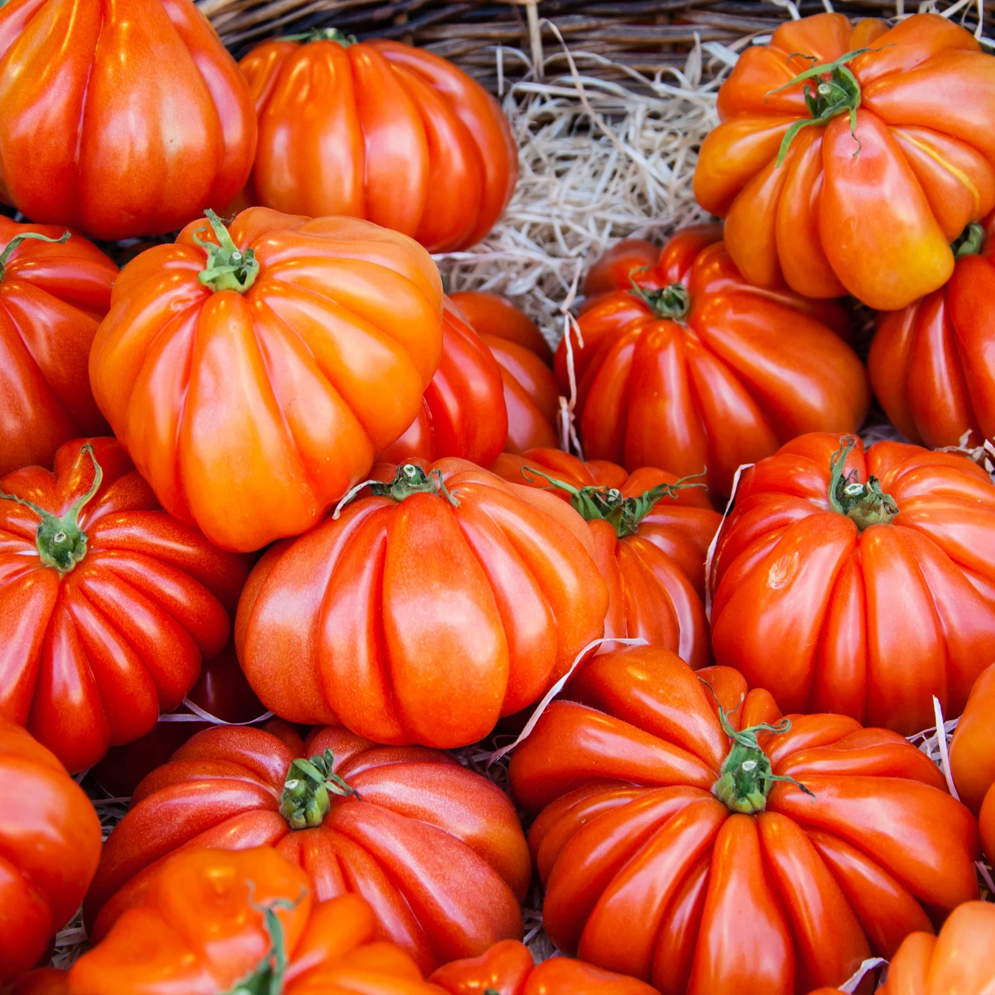 Tomate Beefsteak
