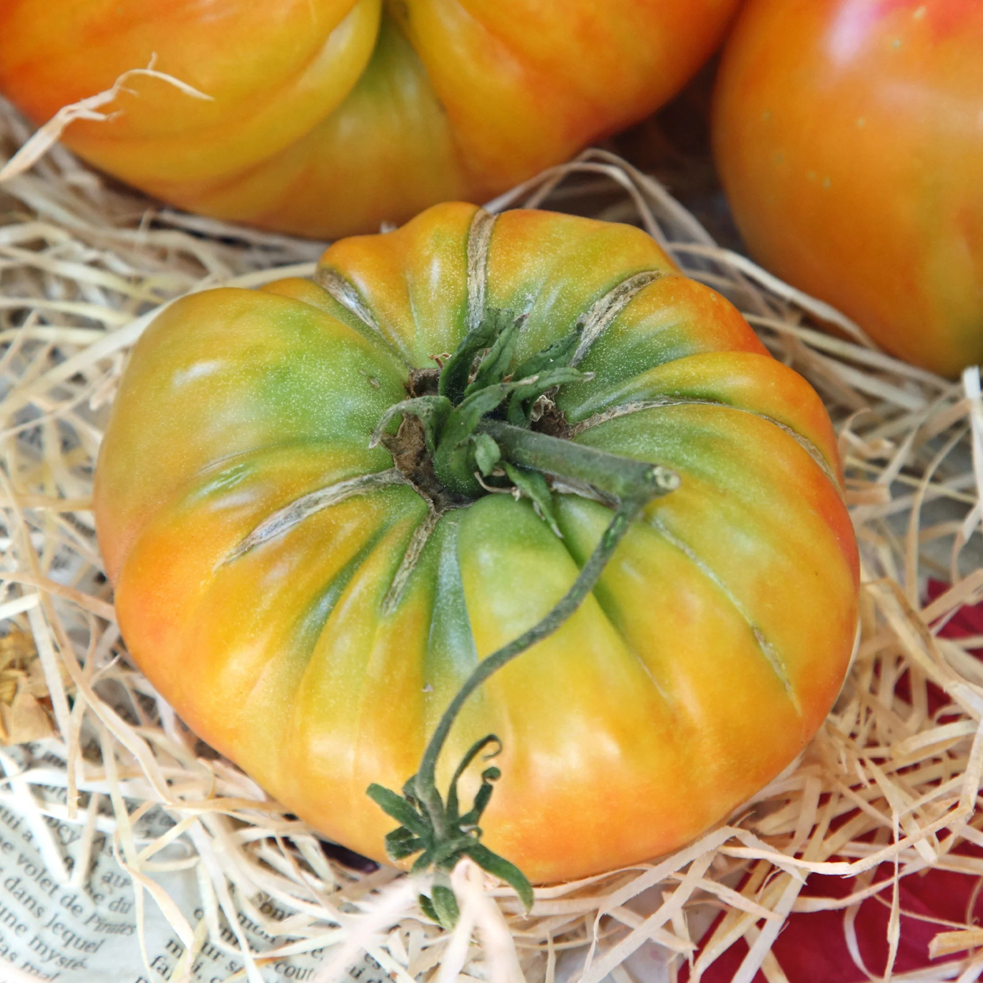 Tomate de collection Ananas - Image 2