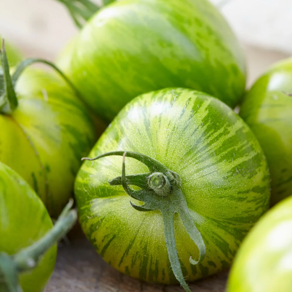 Tomate Green Zebra - Image 3